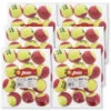Penn QST 36 Quick Start Red Junior Tennis Balls 72 Case