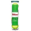 Wilson Starter Play Green Dot Junior Tennis Balls (4 Ball Can)